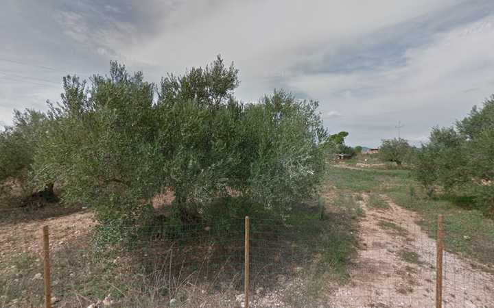 Fotografia tomada fuera de Escuela de Arquitectura de la Tierra - Escuela en Bràfim, Tarragona