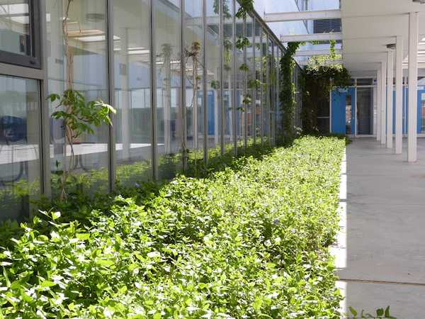 Fotografia tomada fuera de IES Alejandría - Instituto de secundaria en Tordesillas, Valladolid
