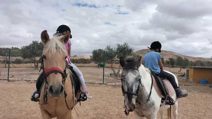 Fotografia tomada fuera de El Rincón del Valle. Centro de Equitación - Escuela de equitación en Yepes, Toledo